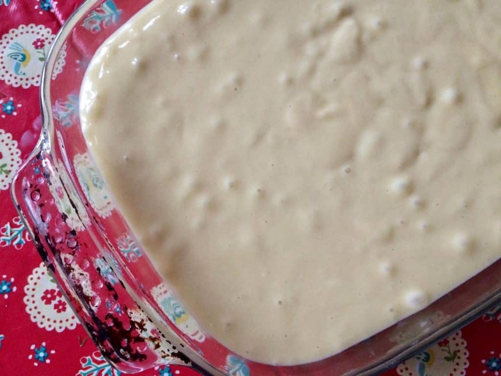 Thermomix Bica Recipe - cake mix