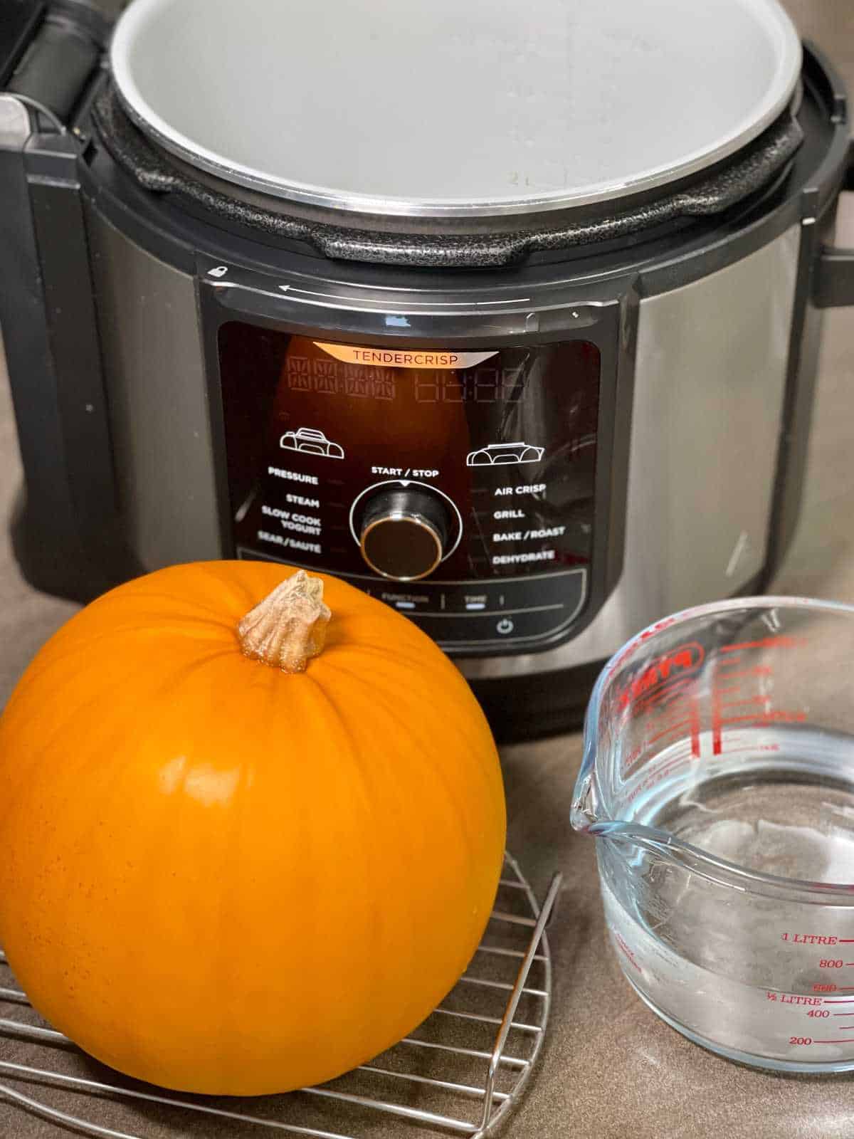 Photo of the ingredients required for Instant Pot Pumpkin: water, the whole raw pumpkin and of course, your equipment