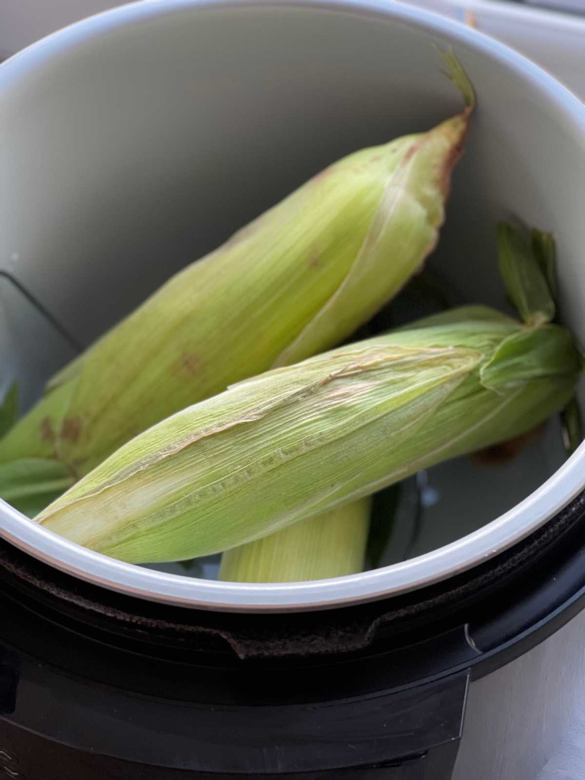 Photo of corn on the cob in the husk seen from above inside a Ninja Foodi 14 in 1, ready to pressure cook
