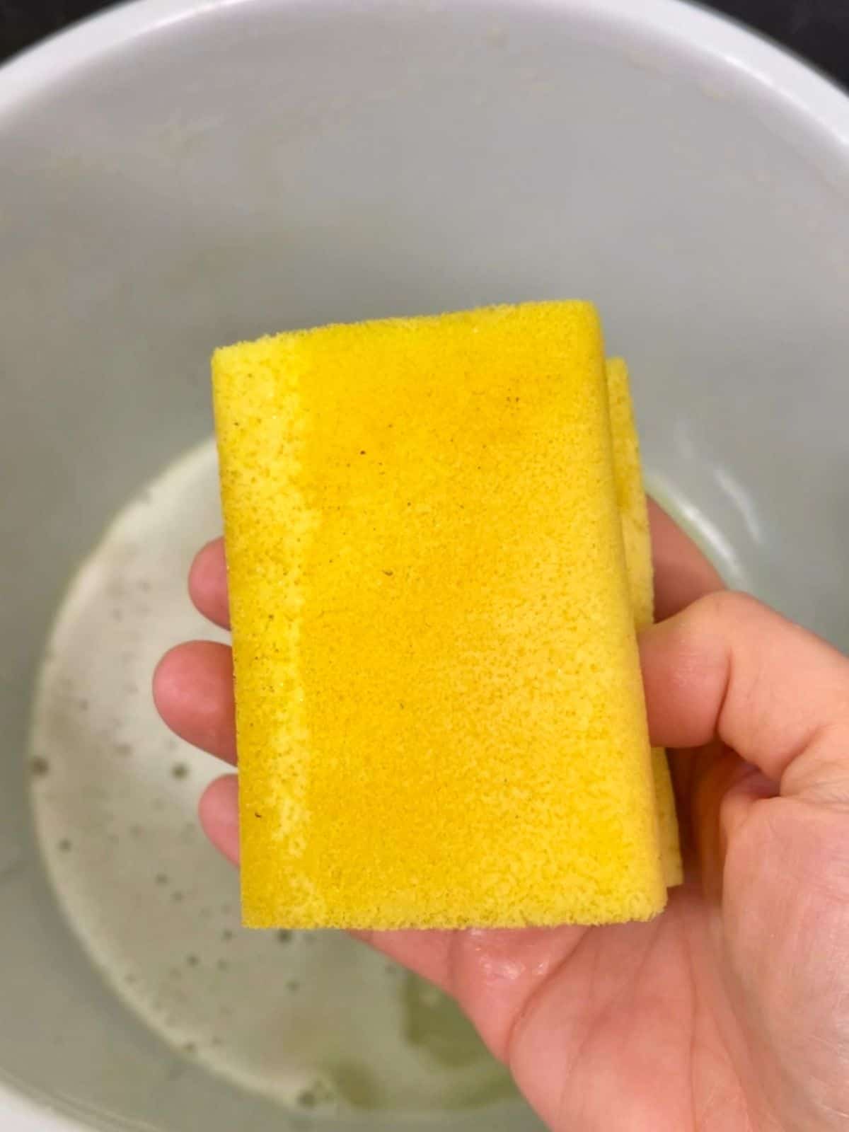 Photo showing the soft sponge side of a sponge scourer