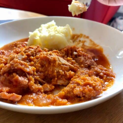 Turkey Stew served with mash on a white dish