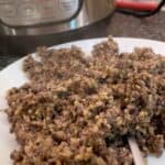 Pressure cooked haggis on a white plate with an Instant Pot Duo in the background